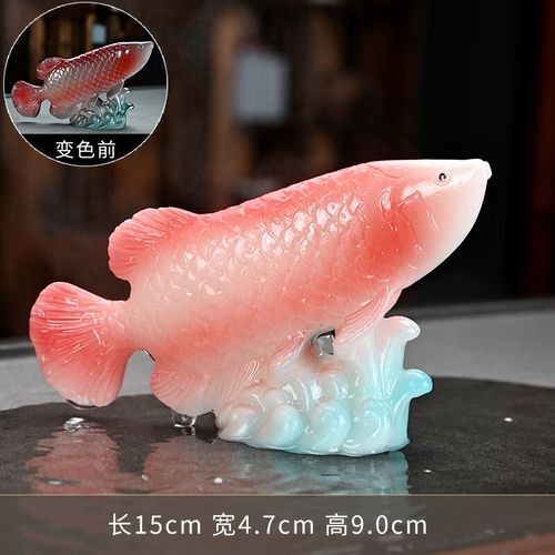 給我一些金龍魚變色的圖片（關于金龍魚變色的圖片資源及相關信息：01:18金龍發色秘籍） 給我一些金龍魚變色的圖片（關于金龍魚變色的圖片資源及相關信息：01:18金龍發色秘籍） 龍魚百科 第22張