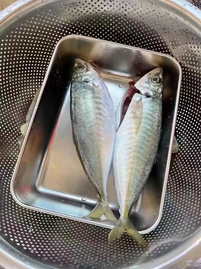 巴浪魚的市場價格是多少（巴浪魚市場價格走勢如何）