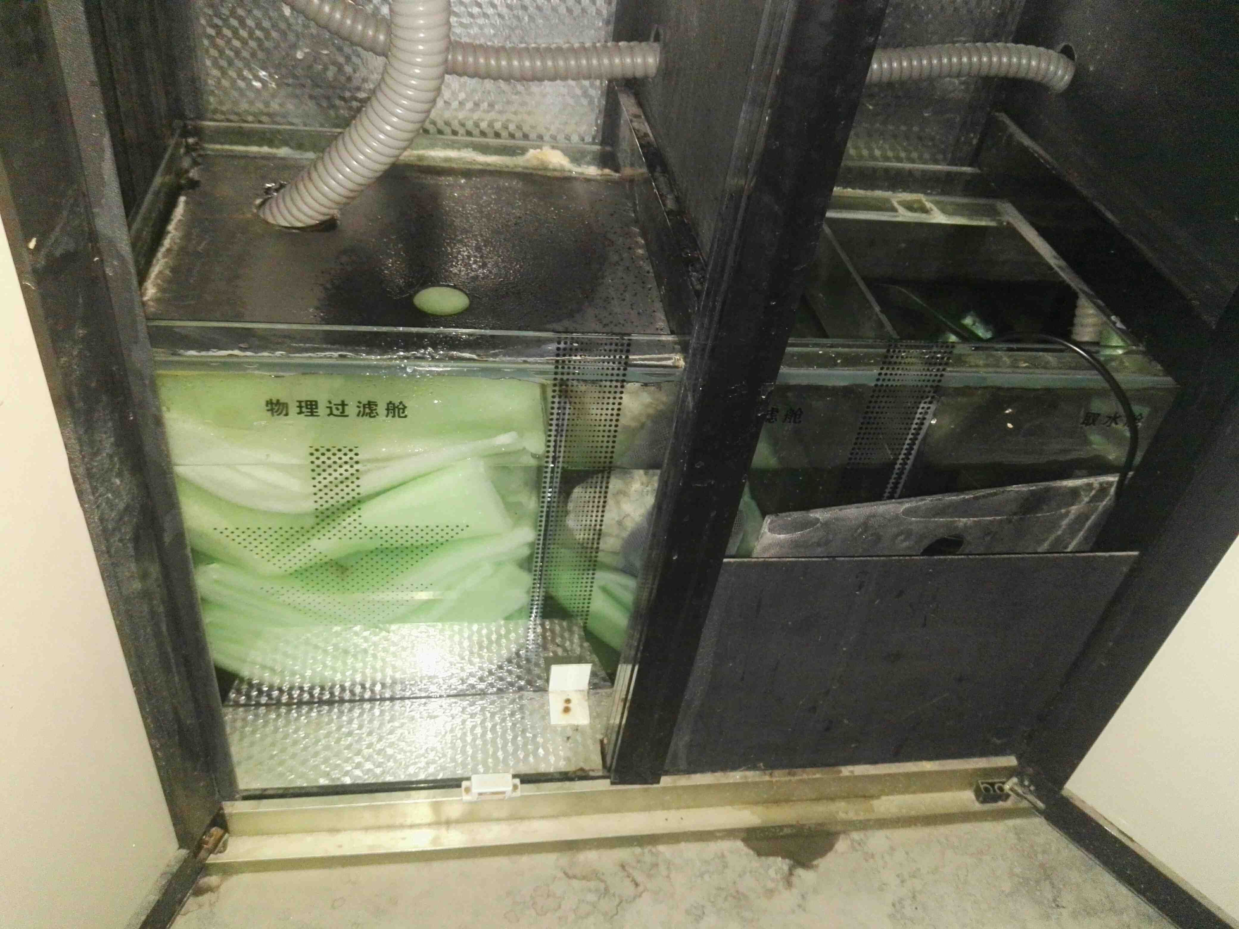 新手開缸請教大俠我的過濾這樣擺對嗎（新手開缸請教）