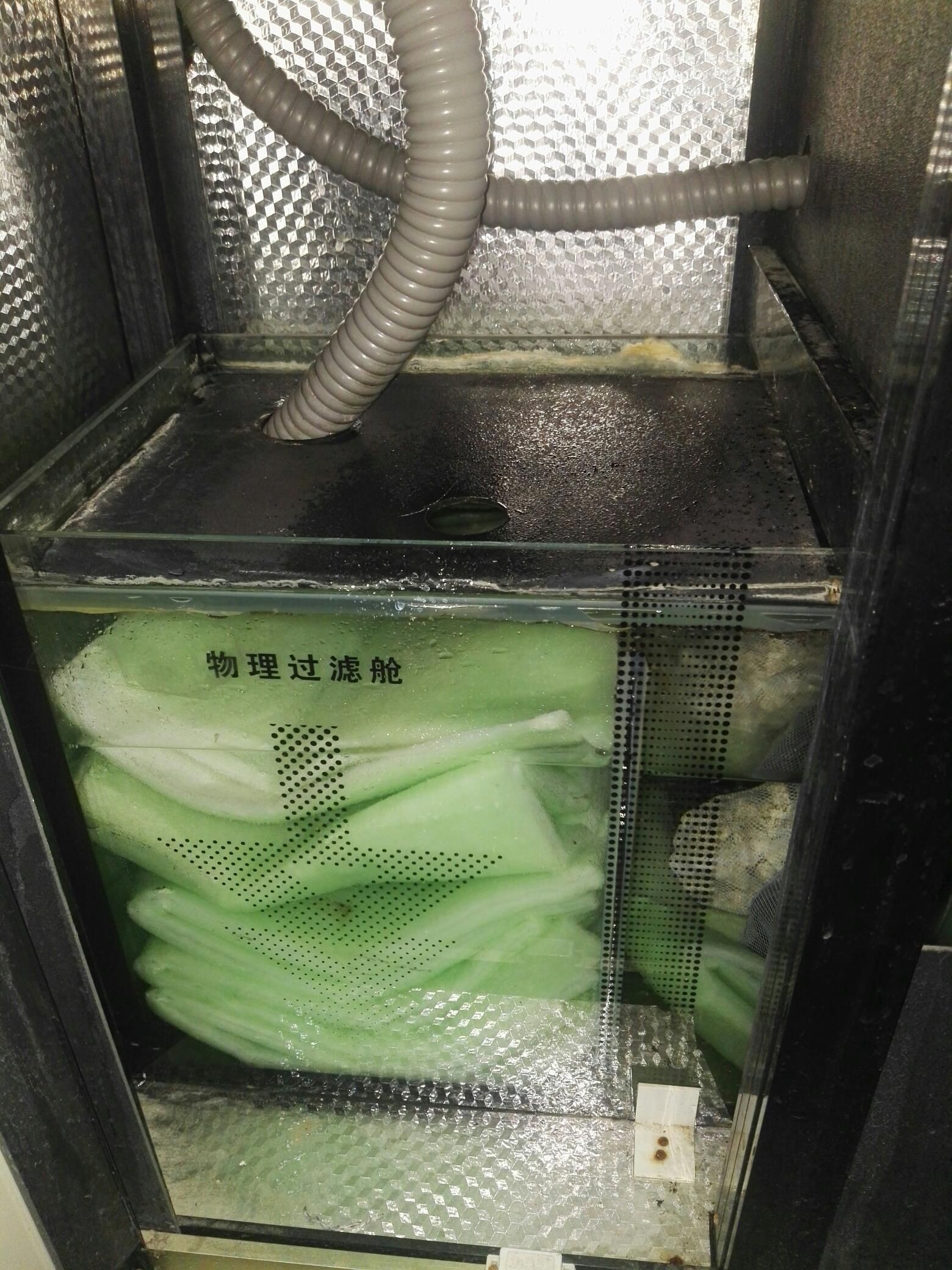 新手開缸請教大俠我的過濾這樣擺對嗎（新手開缸請教）