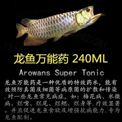 龍魚專用藥物的價格范圍（魚專用藥物的價格因品牌、成分和規格而異）
