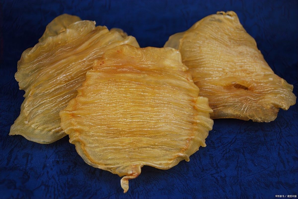如何辨別金龍魚膠的真偽？（315防偽碼查詢：如何辨別金龍魚膠的真偽）
