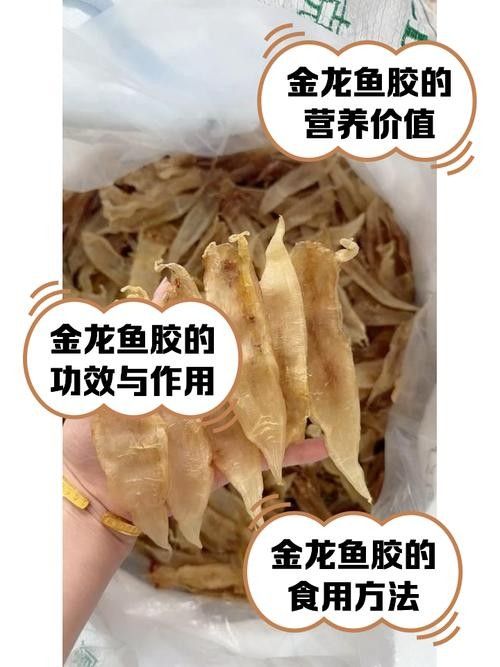如何辨別金龍魚膠的真偽？（315防偽碼查詢：如何辨別金龍魚膠的真偽）