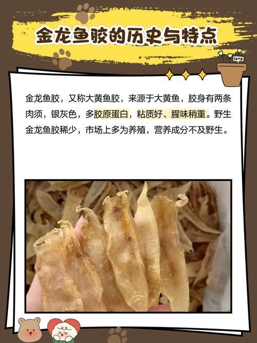 如何辨別金龍魚膠的真偽？（315防偽碼查詢：如何辨別金龍魚膠的真偽）