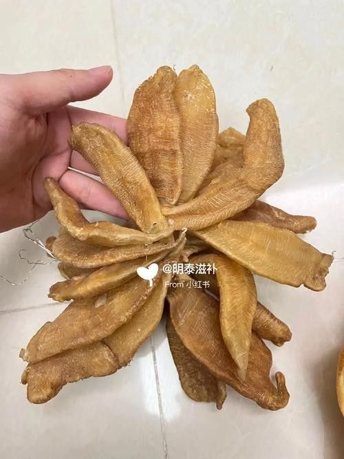 如何辨別金龍魚膠的真偽？（315防偽碼查詢：如何辨別金龍魚膠的真偽）