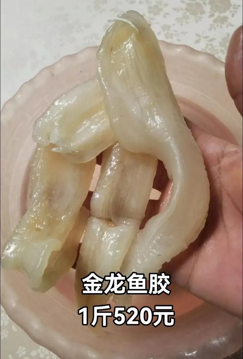 如何辨別金龍魚膠的真偽？（315防偽碼查詢：如何辨別金龍魚膠的真偽）