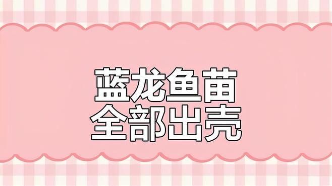 魚被細(xì)菌感染后的死亡時(shí)間取決于多種因素，如何判斷魚被細(xì)菌感染后如何治療