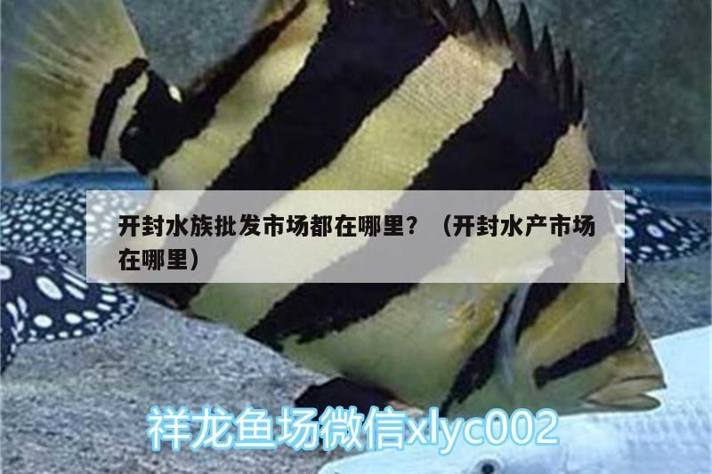 開封水族批發市場都在哪里？（開封水產市場在哪里）
