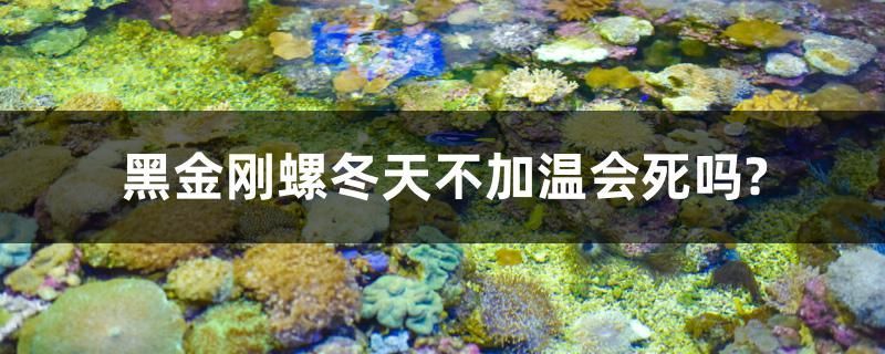 三條龍家庭有哪些具體案例（“三條龍”家庭有哪些成功要素，三條龍家庭有哪些成功要素）
