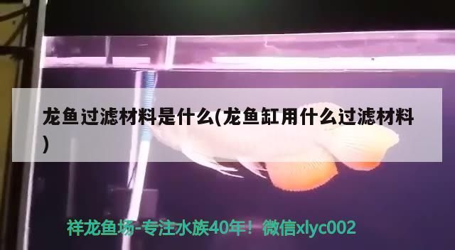 龍魚過濾材料是什么(龍魚缸用什么過濾材料)（龍魚缸用什么過濾材料是什么）