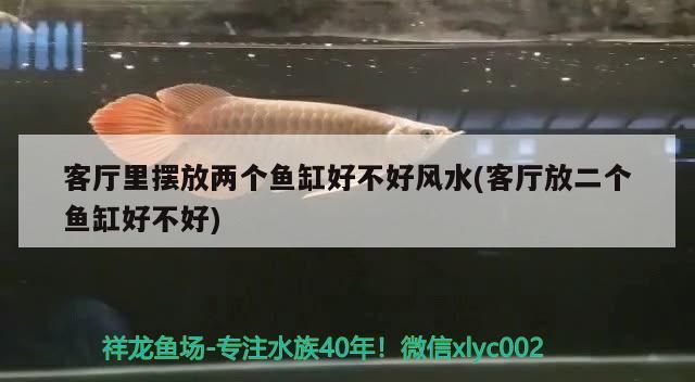 客廳里擺放兩個魚缸好不好風水(客廳放二個魚缸好不好) 客廳里擺放兩個魚缸好不好風水(客廳放二個魚缸好不好) 觀賞魚百科