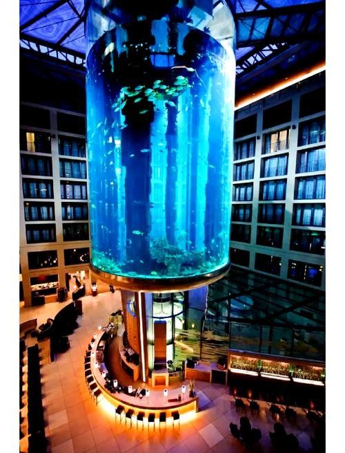 萬柏林哪個水族館龍魚好?祥龍魚場龍魚(萬柏林區祥龍魚場) 龍魚百科 第2張 萬柏林哪個水族館龍魚好?祥龍魚場龍魚(萬柏林區祥龍魚場) 萬柏林哪個水族館龍魚好?祥龍魚場龍魚(萬柏林區祥龍魚場) 龍魚百科 第2張