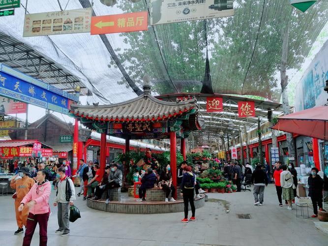 哪里可以買到最貴的金龍魚（<strong><mark>北京</mark></strong>大型賣觀賞魚市場哪家店的金龍魚最貴如何挑選）