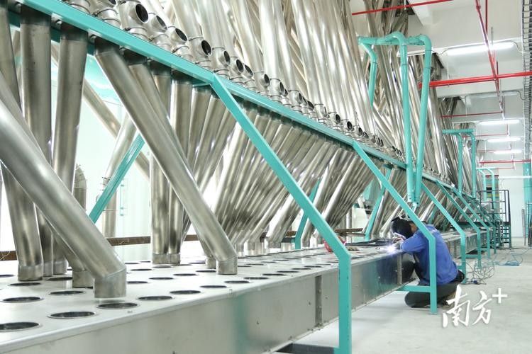 如何投遞饒平金龍魚的簡歷（饒平金龍魚招聘流程）