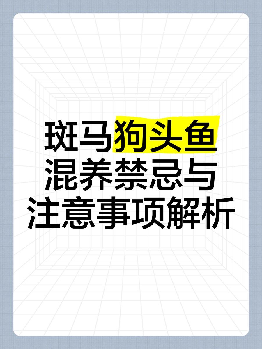 斑馬狗頭魚和哪些魚可以混養