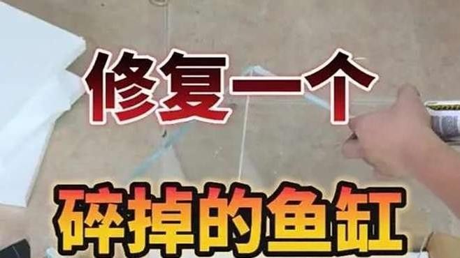 如何聯系天津西龍魚缸的售后服務（天津西龍魚缸售后服務聯系方式）