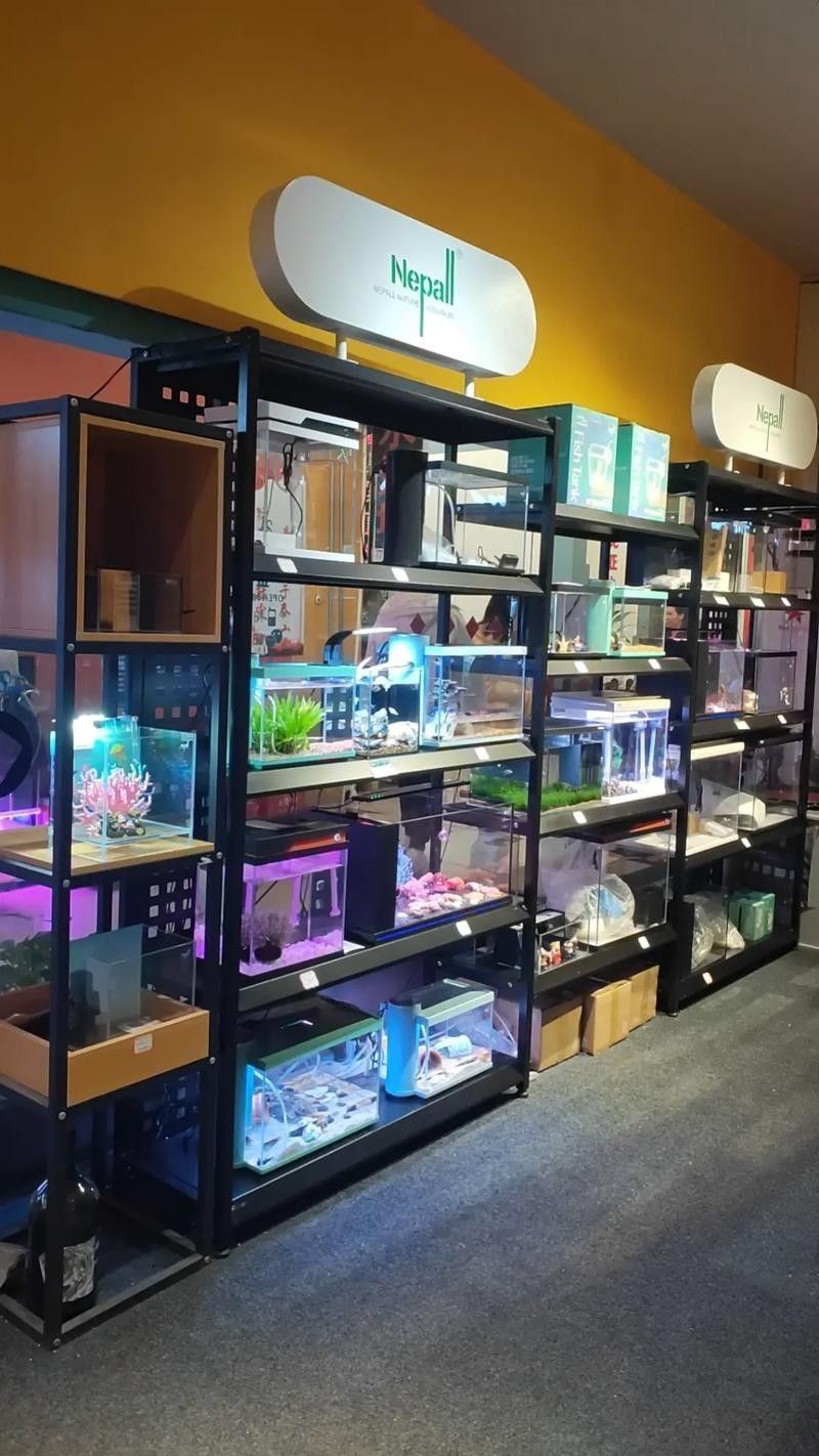 如何聯系邯鄲凱龍魚缸專賣店？