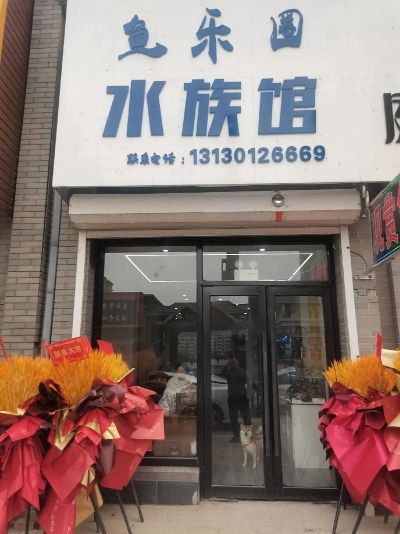 如何聯系邯鄲凱龍魚缸專賣店？