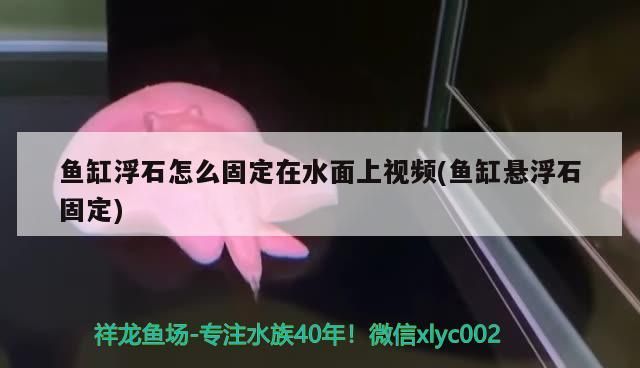 魚缸浮石怎么固定在水面上視頻(魚缸懸浮石固定)（魚缸浮石怎么固定）