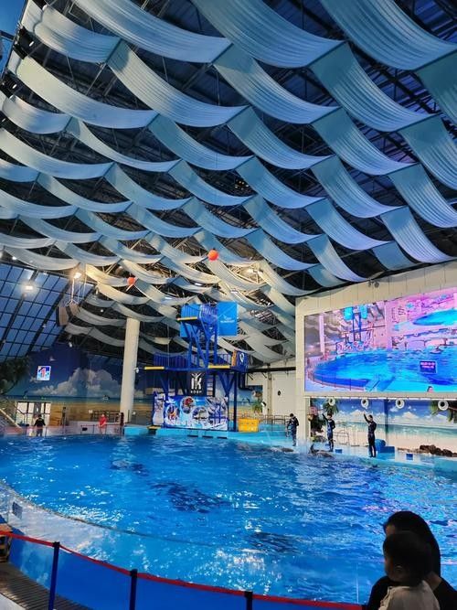包河哪個水族館龍魚好？祥龍魚場龍魚