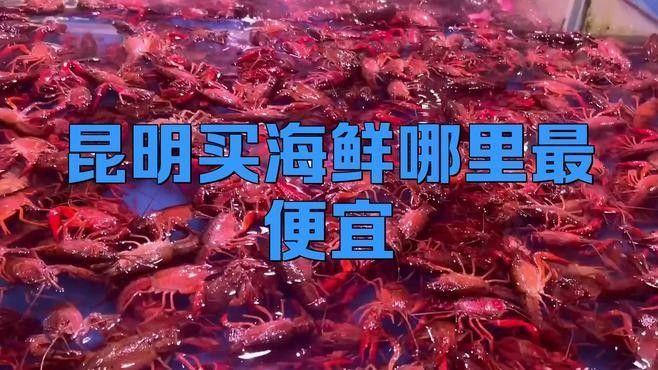 昆明明都海鮮有龍魚嗎（云南華潮水產批發市場明都海鮮市場是否在該市場有售） 昆明明都海鮮有龍魚嗎（云南華潮水產批發市場明都海鮮市場是否在該市場有售） 龍魚百科 第7張