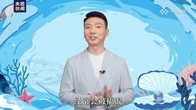 昆明明都海鮮有龍魚嗎（云南華潮水產批發市場明都海鮮市場是否在該市場有售） 昆明明都海鮮有龍魚嗎（云南華潮水產批發市場明都海鮮市場是否在該市場有售） 龍魚百科 第6張