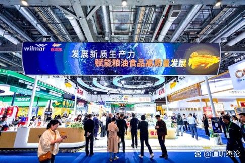石家莊哪里可以買到金龍魚 石家莊哪里可以買到金龍魚 龍魚百科 第1張
