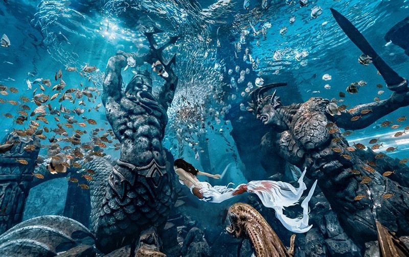 呼蘭哪個水族館龍魚好？祥龍魚場龍魚（呼蘭哪個水族館祥龍魚場）
