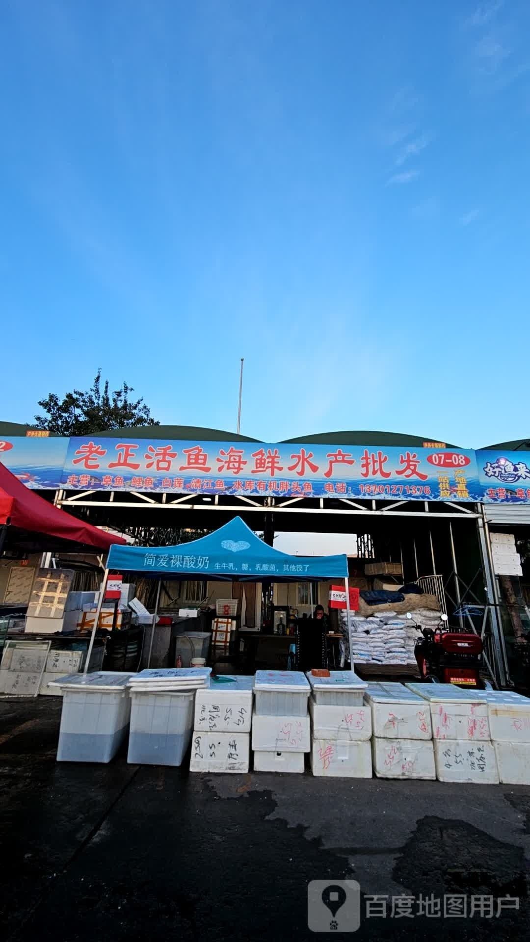 如何聯(lián)系龍魚(yú)批發(fā)商？ 如何聯(lián)系龍魚(yú)批發(fā)商？ 龍魚(yú)百科 第4張