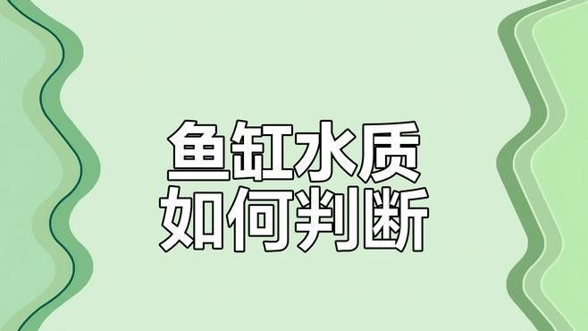 如何檢測魚缸水質指標？