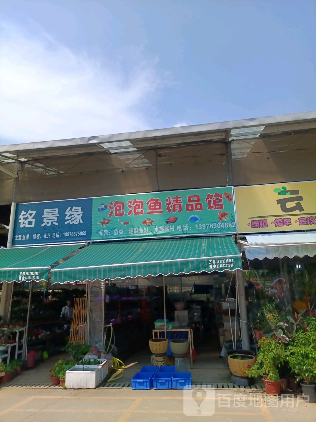 桂林哪個水族館龍魚好？祥龍魚場龍魚（廣州祥龍魚場）
