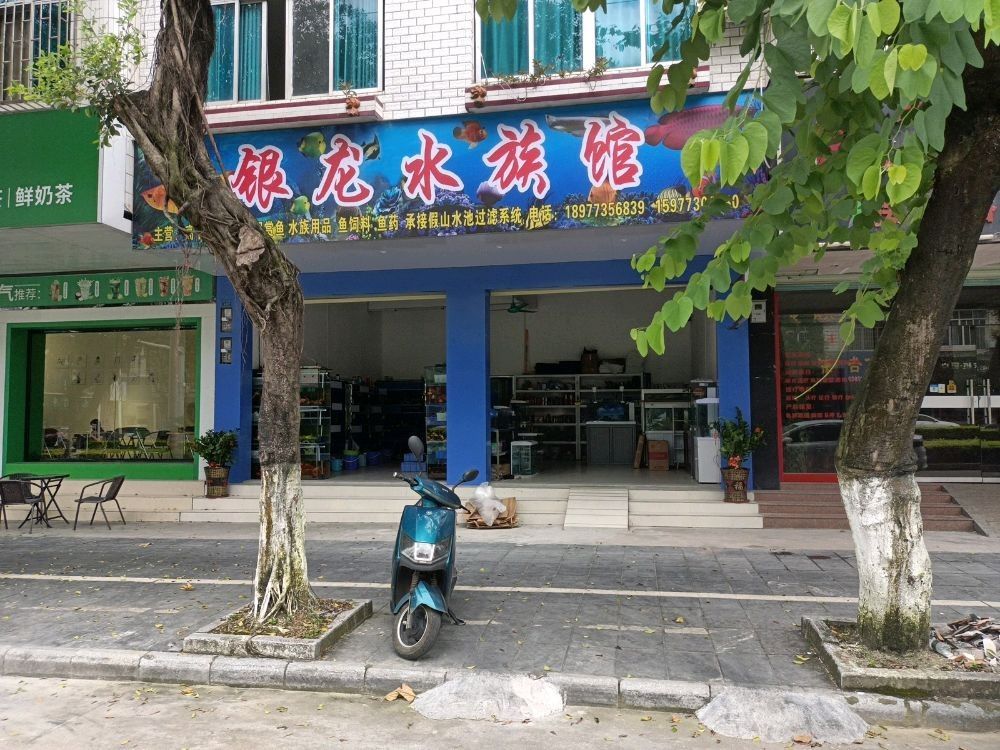 桂林哪個水族館龍魚好？祥龍魚場龍魚（廣州祥龍魚場）