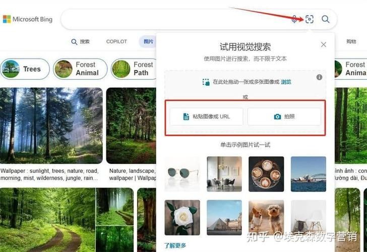 反向圖像搜索工具推薦（10大頂級反向圖片搜索工具推薦crystal）