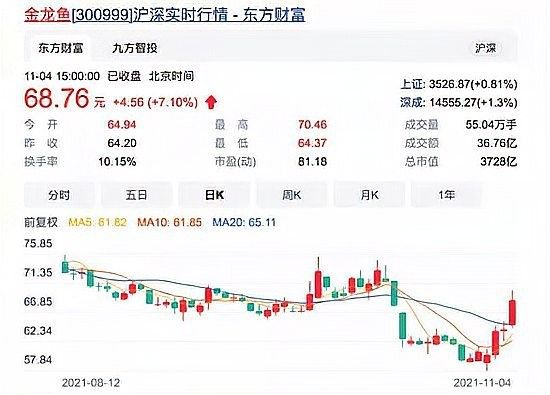 金龍魚未來有調價計劃嗎？（金龍魚未來是否有調價計劃） 金龍魚未來有調價計劃嗎？（金龍魚未來是否有調價計劃） 龍魚百科 第3張