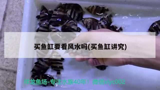 買魚缸要看風(fēng)水嗎(買魚缸講究)