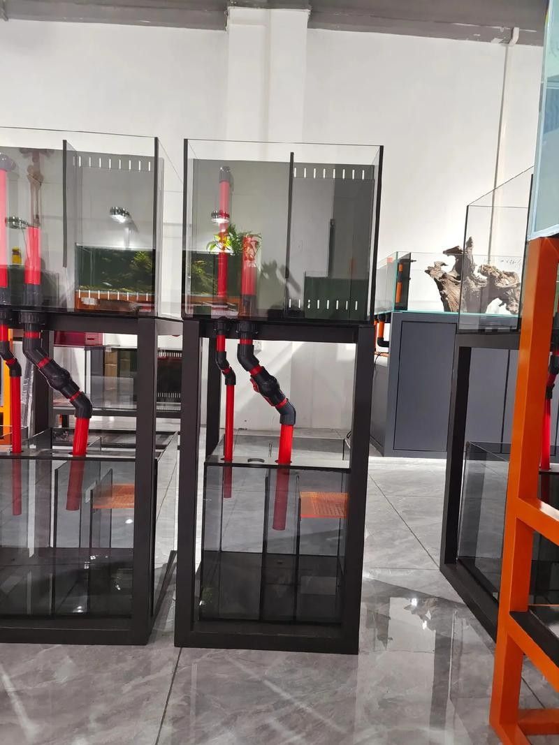 如何選擇適合與龍魚缸搭配的家具（實木龍魚缸怎么選？）