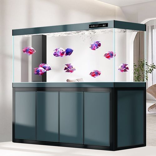如何選擇適合與龍魚缸搭配的家具（實木龍魚缸怎么選？）