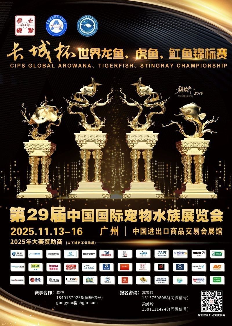 崗巴哪個水族館龍魚好？祥龍魚場龍魚（天津龍魚祥龍魚場聊城分店|聊城龍魚繁殖漁場） 崗巴哪個水族館龍魚好？祥龍魚場龍魚（天津龍魚祥龍魚場聊城分店|聊城龍魚繁殖漁場） 龍魚百科 第19張