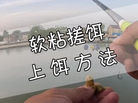如何正確使用金龍餌料？（悠漁樂好，揭秘餌料使用中的5大致命失誤）