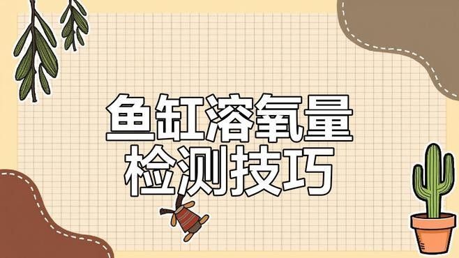 如何為恐龍魚提供穩(wěn)定的水質(zhì)（為恐龍魚提供穩(wěn)定水質(zhì)的關(guān)鍵步驟）