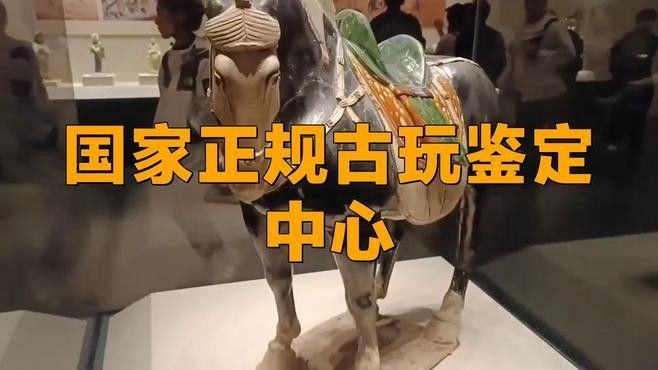 給我推薦一些專業(yè)的古典家具鑒定機(jī)構(gòu)（上海古典家具鑒定機(jī)構(gòu)推薦，古典家具鑒定機(jī)構(gòu)推薦） 給我推薦一些專業(yè)的古典家具鑒定機(jī)構(gòu)（上海古典家具鑒定機(jī)構(gòu)推薦，古典家具鑒定機(jī)構(gòu)推薦） 龍魚百科 第2張
