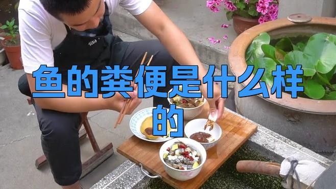 如何判斷飼料魚是否處理干凈（如何判斷飼料魚的清潔程度）