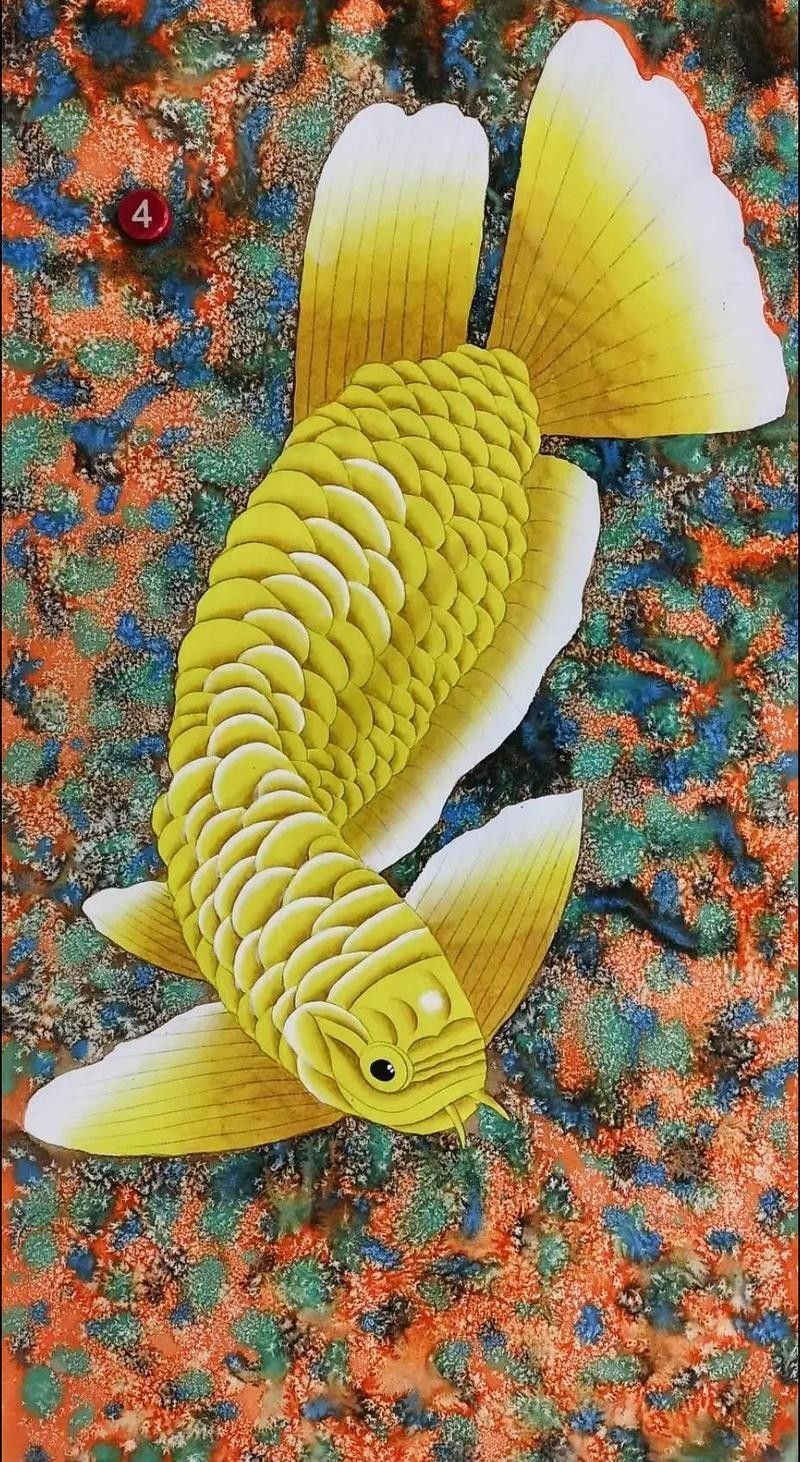 推薦一些高清龍魚壁紙（高清龍魚壁紙推薦） 推薦一些高清龍魚壁紙（高清龍魚壁紙推薦） 龍魚百科 第8張