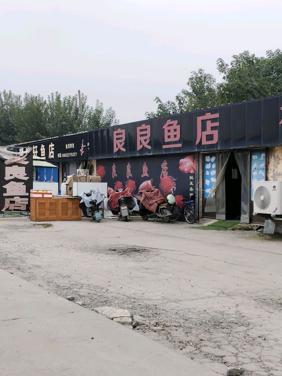 保定龍魚市場哪個店鋪最好（保定龍魚市場店鋪需要綜合考慮哪個店鋪最好）