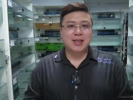 給我一些印尼紅龍魚發色的對比圖（印尼紅龍魚發色對比圖） 給我一些印尼紅龍魚發色的對比圖（印尼紅龍魚發色對比圖） 龍魚百科 第24張