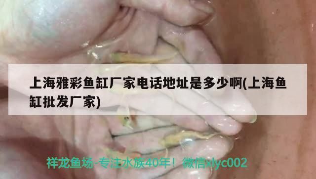 <strong><mark>上海</mark></strong>雅彩魚缸廠家電話地址是多少啊(<strong><mark>上海</mark></strong>魚缸批發廠家)（<strong><mark>上海</mark></strong>雅彩魚缸廠家電話地址是多少<strong><mark>上海</mark></strong>雅彩魚缸廠家電話地址是多少）