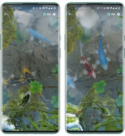 哪個平臺提供高清金龍魚壁紙下載 哪個平臺提供高清金龍魚壁紙下載 龍魚百科 第6張