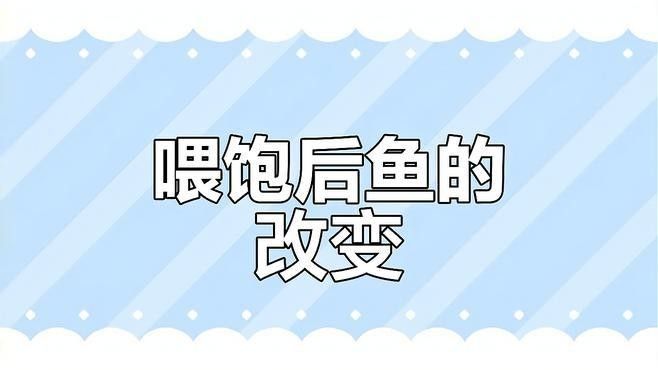 如何判斷恐龍魚是否吃飽？（恐龍魚吃飽了會有哪些表現(xiàn)）