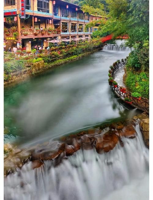 古龍魚莊的價格范圍（古龍魚莊價格范圍）