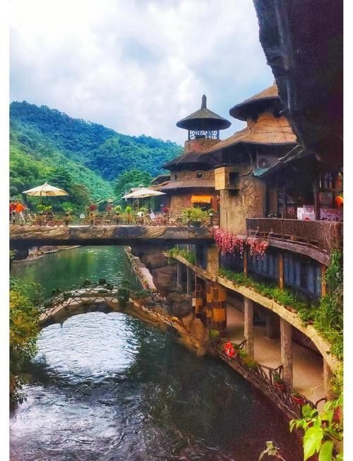 古龍魚莊的價格范圍（古龍魚莊價格范圍）